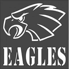 1- 5.5x5.5 inch Custom Cut Stencil, (VE-13) Eagles Arts and Crafts Scrapbooking Painting on The Wall Wood Glass
